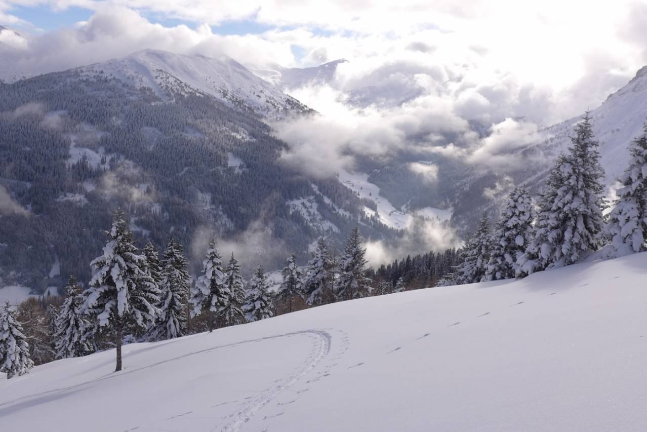 Powder Erlebnis bei Skitour mit Bergführer