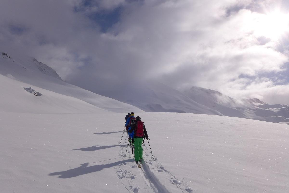 Skitour mit Bergführer im Powder